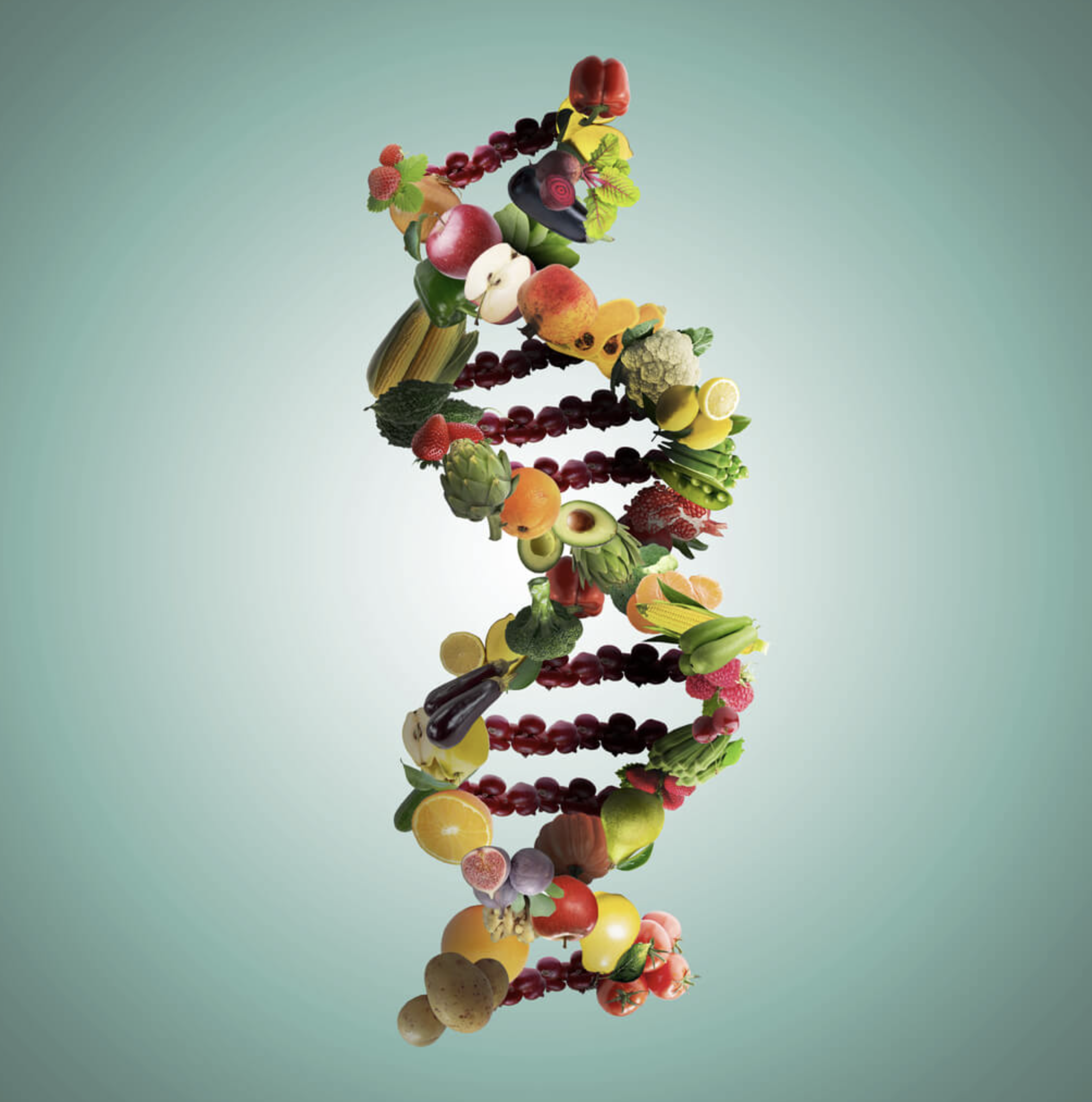 Test de microbiota y salud integral